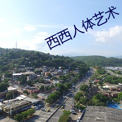 西西人體藝術