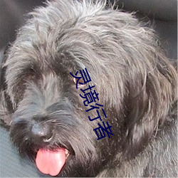 靈境行者