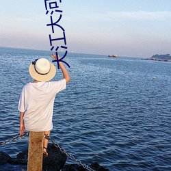 大江大河第二部全集免费观看