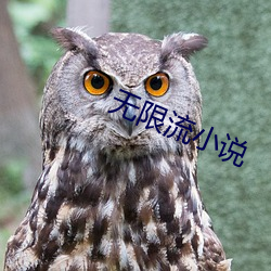无(wú)限流小说