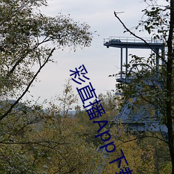 彩直播App下载入口