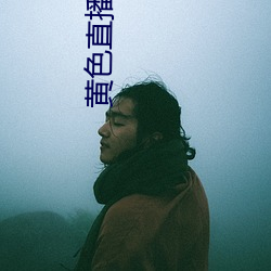 黄色直播盒子