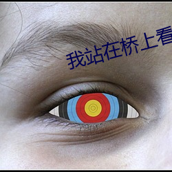 我站在桥(橋)上看风景小说