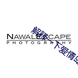 解釋一下愛情島論壇路線一路線二