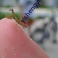 yishengyishijius