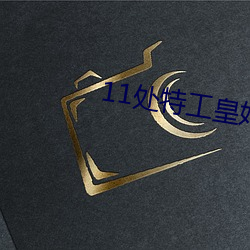 11处特工皇妃 （批驳）