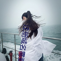注册域(域)名(名)需要成(成)年吗