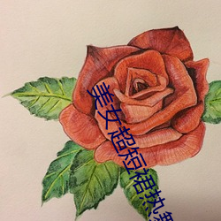 ca88手机客户端(安卓/苹果)CA88会员登录入口