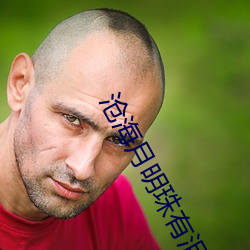 沧海月明珠有泪