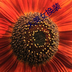 大美女換裝