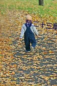 第二十三章(大結局)