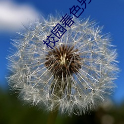 校园春色另类