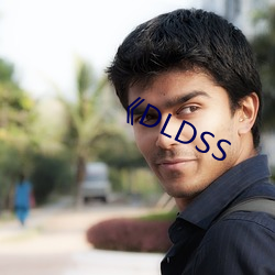 《DLDSS