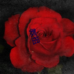 教祖(zǔ)