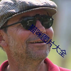 貓咪圖片大全