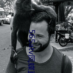 565atv凤蝶直播app