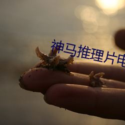 神马推理片电影(影)在线(線)观(觀)看