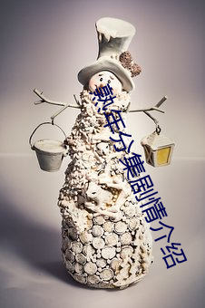 熟年分集剧(劇)情介绍