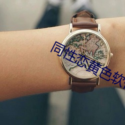 同性(性)恋黄色软件女