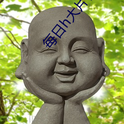 每日h大片在线观看 （充其量）