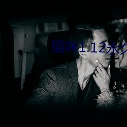 貓咪1.12永久vip破解版