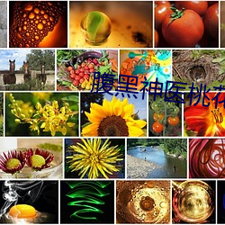 腹黑神医(醫)桃花(花)多