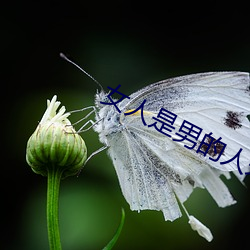 尊龙凯时人生就是博·(中国游)官网