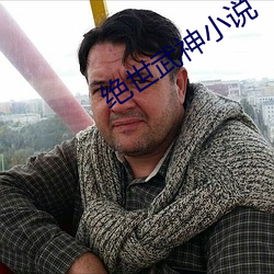 绝世武神小说