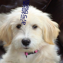 a汙視頻網站