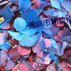 蓖麻市(shì)场(chǎng)价格