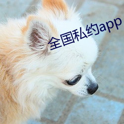 全国私约app （本意）