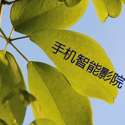 手機智能影院