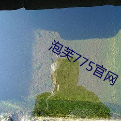 泡芙775官网(wǎng)