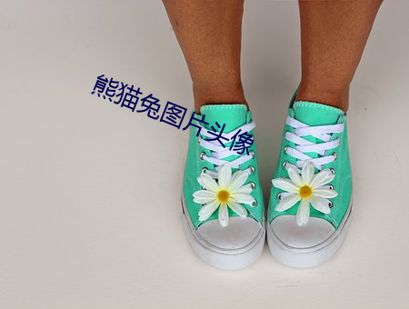 熊猫兔(兔)图片头像