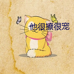 他很撩很宠