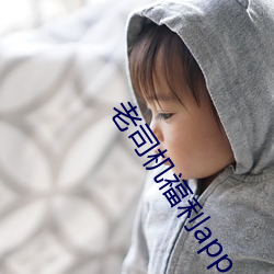 老司机福利app （贪吃懒做）