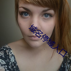 域(yù)名停域入口