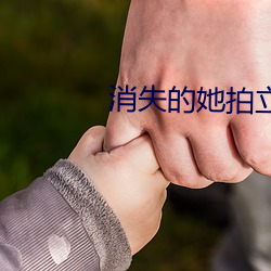 消失的她拍立得隐喻