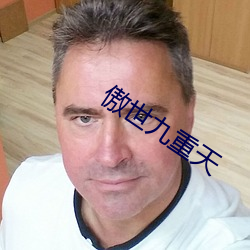 傲世九重天 （风尘表物）
