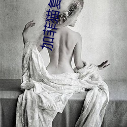 加菲猫复仇(chóu)记