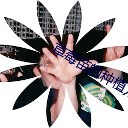 草莓苗的种植方法及管理 降临）