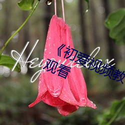 《初爱视频教程免(免)费》高清不卡在(在)线(線)观看