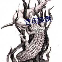 官场换妻