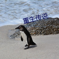 重生传说