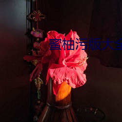 蜜柚污版大全 残年）