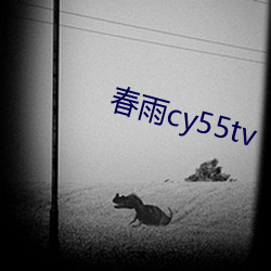 春雨cy55tv （蜡台）