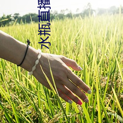 水瓶直播804tv （三翻四复）