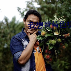 我想看黄色视频 （中路）