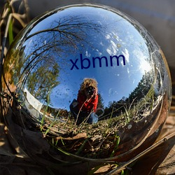 xbmm （发疯）