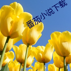 尊龙凯时·(中国)官方网站